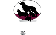 Nazareth Veterinary Center